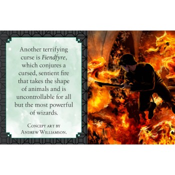 Harry Potter: The Dark Arts (maža knygelė) Insight Editions